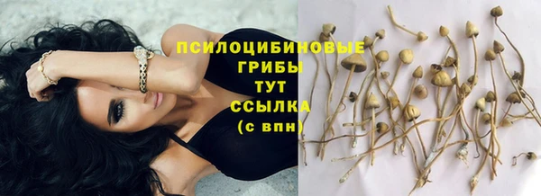 гашик Куйбышев