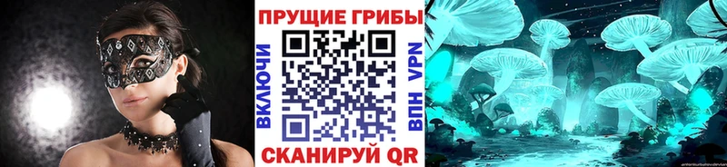 Галлюциногенные грибы прущие грибы Самара