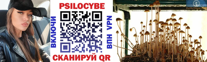 Галлюциногенные грибы Psilocybe  Самара 